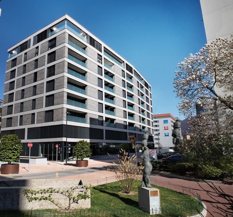 Nel cuore di Paradiso attico di 3.5 locali con terrazzo e roof garden (10)