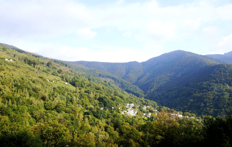 Freistehendes Haus inmitten der Natur (6)