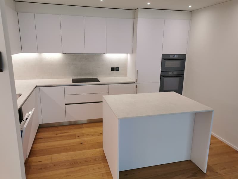 Elegante appartamento di 4.5 locali nella prestigiosa Residenza Parco Lago – Paradiso (1)
