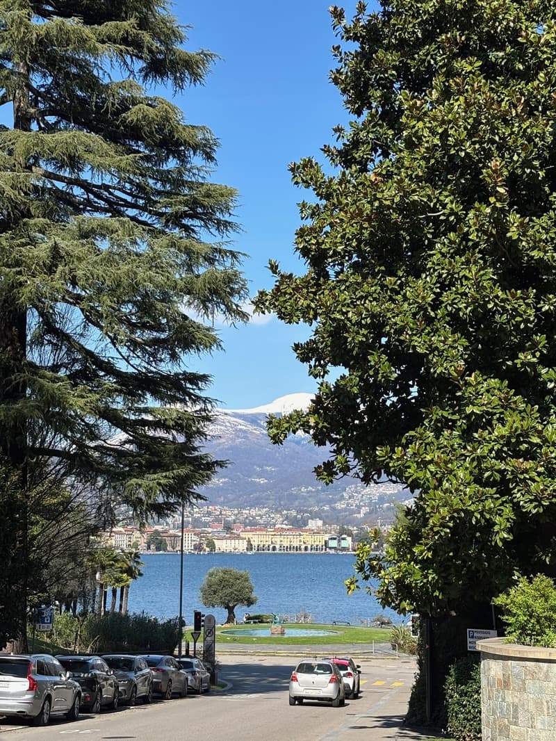 Elegante appartamento di 4.5 locali nella prestigiosa Residenza Parco Lago – Paradiso (5)