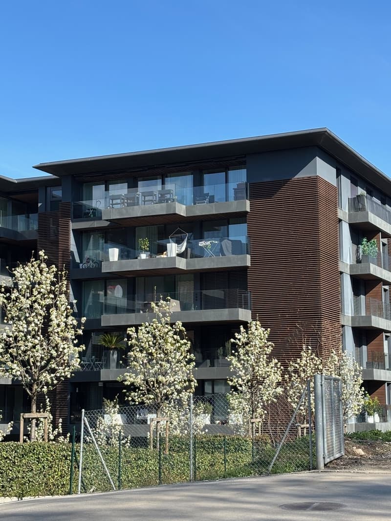 Elegante appartamento di 4.5 locali nella prestigiosa Residenza Parco Lago – Paradiso (4)