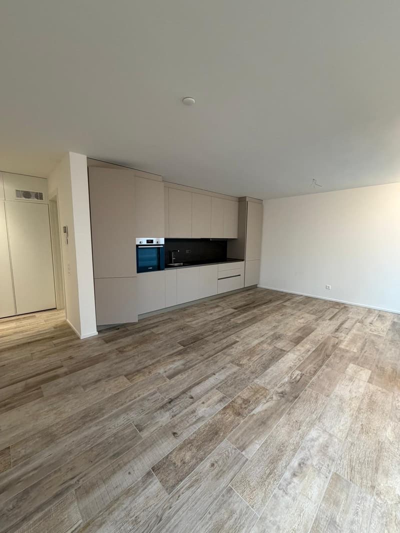 Appartamento di 2.5 locali in moderna residenza (2)