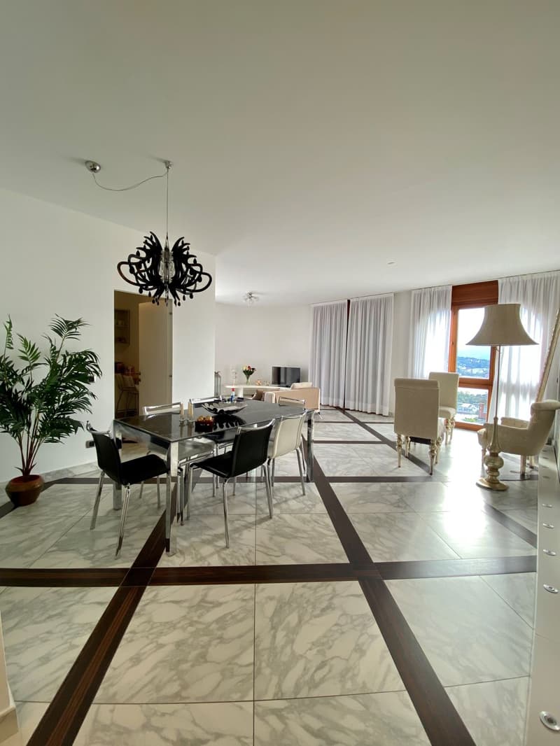 Esclusivo appartamento vista lago (5)