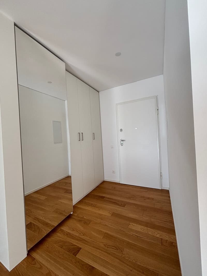 Ampio monolocale a Paradiso (4)