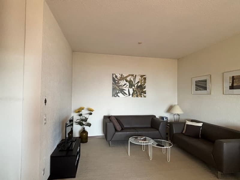 Lugano – Luminoso appartamento di 2.5 locali con terrazzo e vista lago (3)