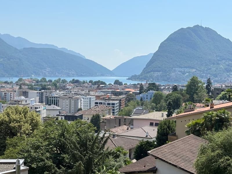 Lugano – Luminoso appartamento di 2.5 locali con terrazzo e vista lago (1)