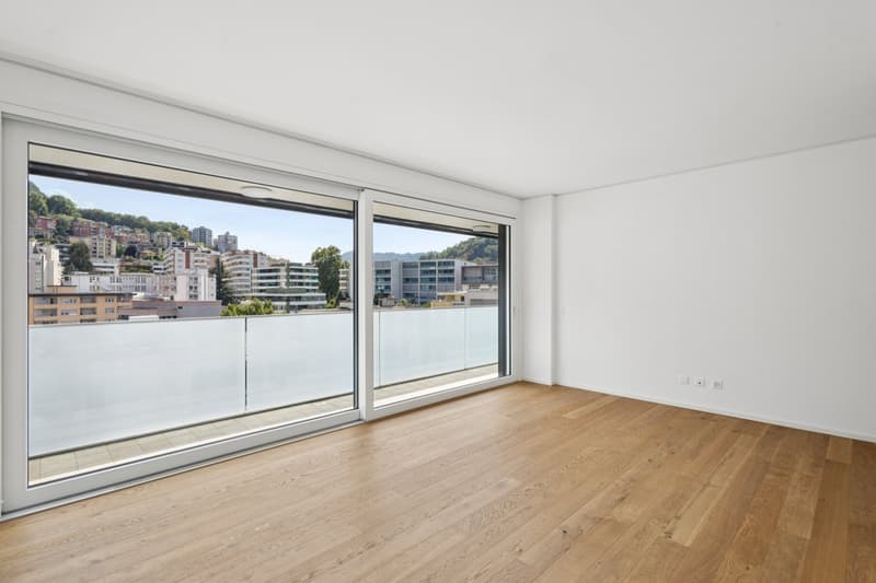 Residenza Flora City, Paradiso- Attico 4.5 locali con roof garden (2)