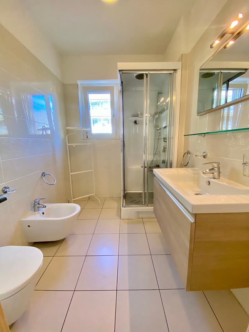 Wohnung mit 2.5 Zimmern im Herzen von Lugano (9)