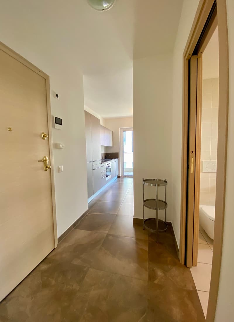 Wohnung mit 2.5 Zimmern im Herzen von Lugano (5)