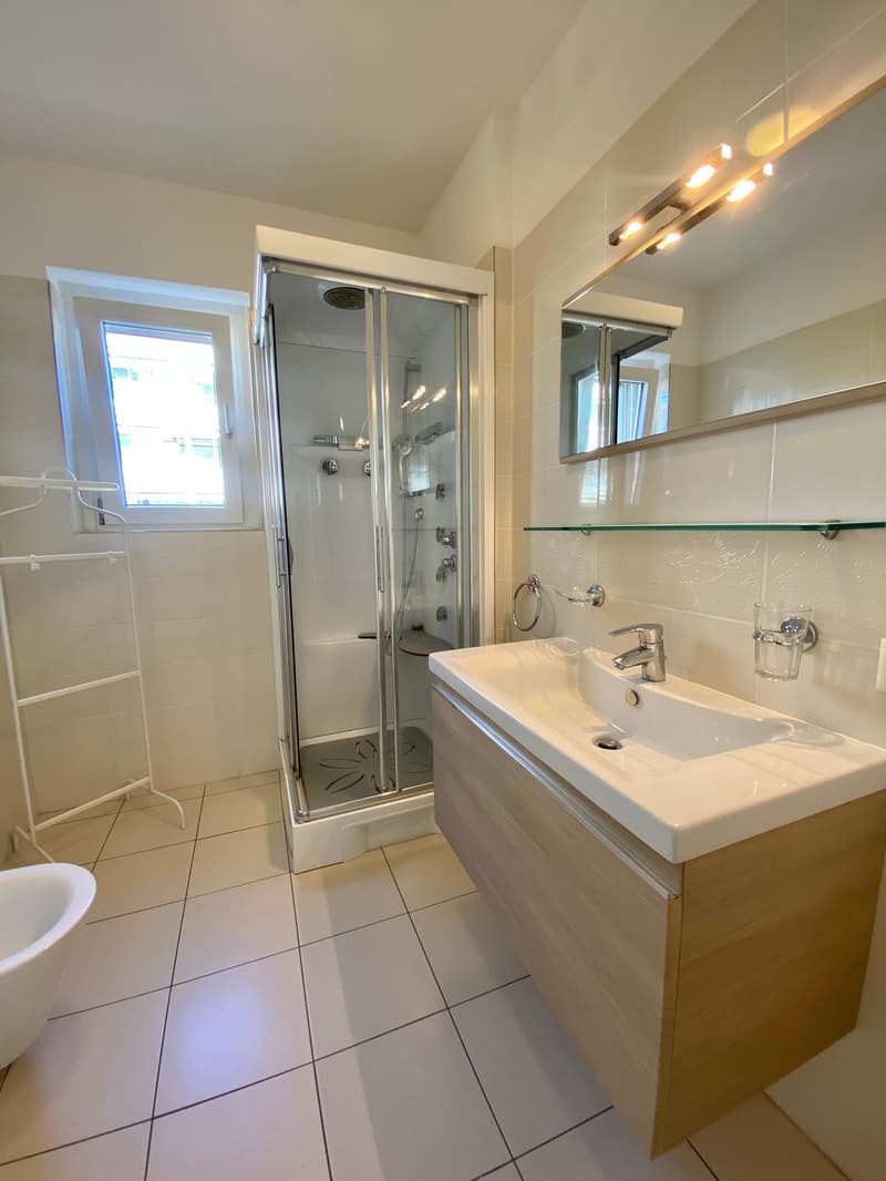 Wohnung mit 2.5 Zimmern im Herzen von Lugano (10)