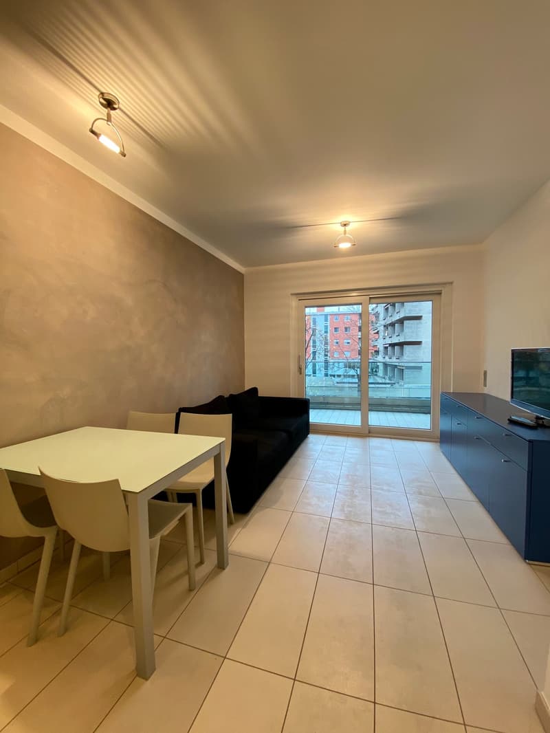 Central 2-room apartment furnished - Rental period min. and max. 3 months, no residence (2)