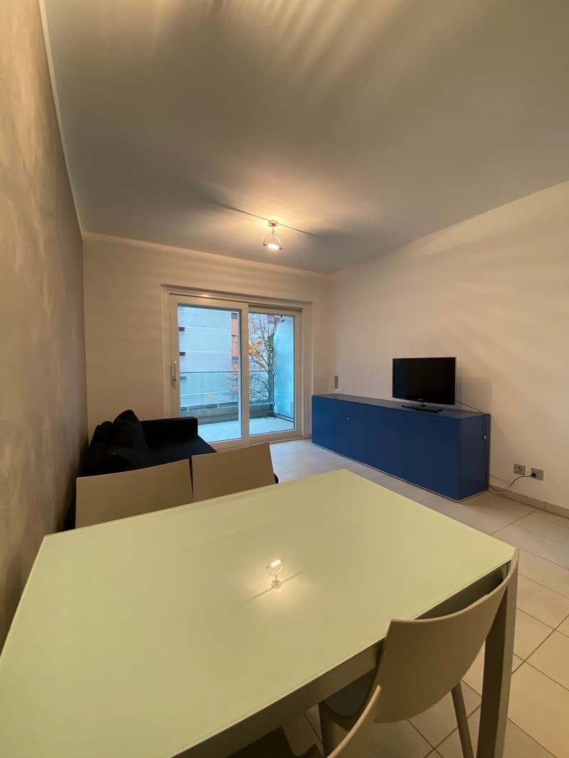 Central 2-room apartment furnished - Rental period min. and max. 3 months, no residence (5)
