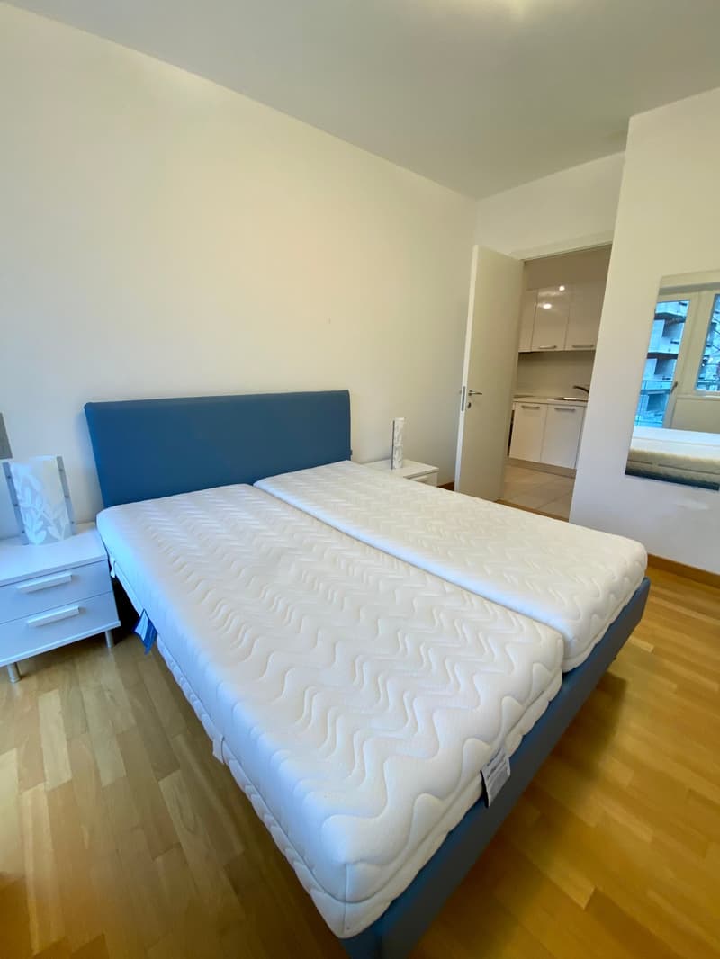 Central 2-room apartment furnished - Rental period min. and max. 3 months, no residence (8)