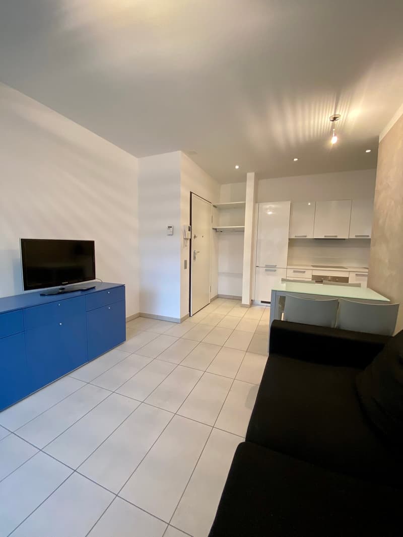 Central 2-room apartment furnished - Rental period min. and max. 3 months, no residence (3)