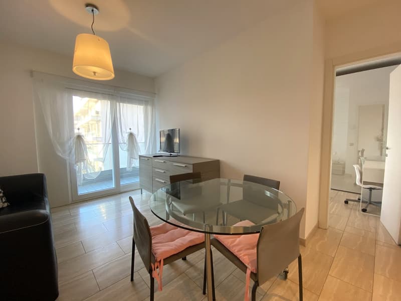 Appartamento arredato a Lugano - disponibilità 7 mesi (1)