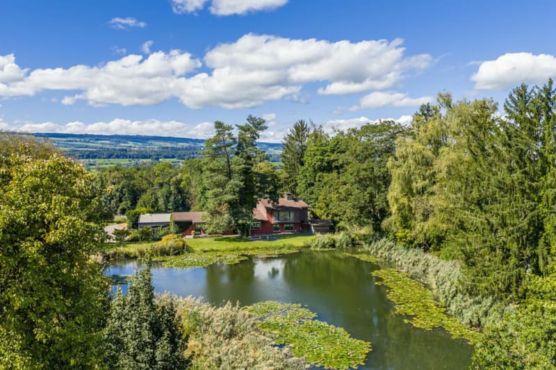 Villa für Freigeister und Lebenskünstler auf 10'000 m² zwischen Zürich und Zug (4)