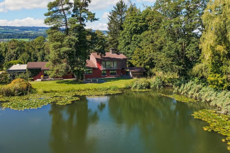 Villa für Freigeister und Lebenskünstler auf 10'000 m² zwischen Zürich und Zug (3)