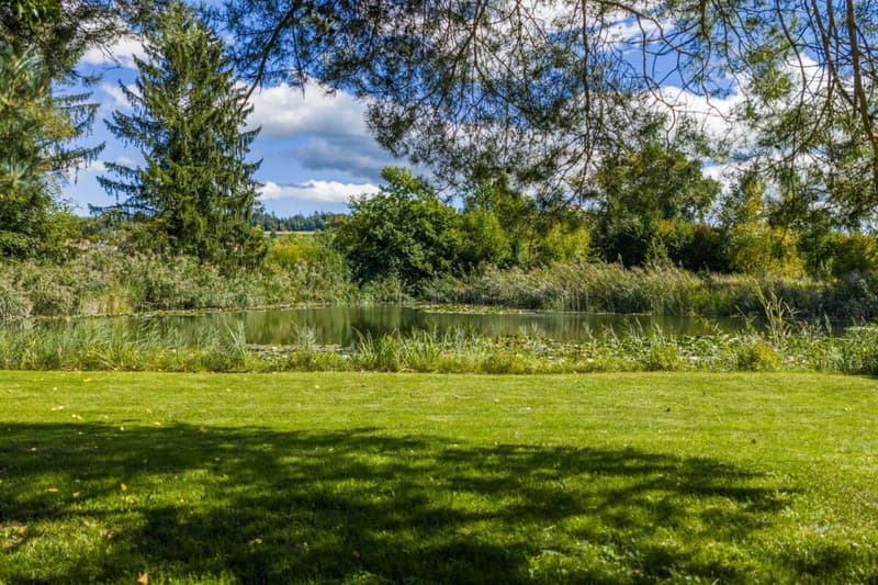 Villa für Freigeister und Lebenskünstler auf 10'000 m² zwischen Zürich und Zug (9)