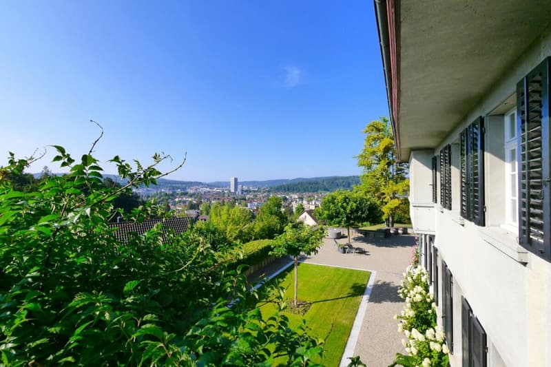 Das Anwesen Wolfer-Sulzer am Rosenberg: 10'000 m² Privatsphäre in der Stadt Winterthur (14)