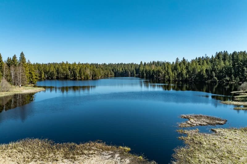 Grosses, diskretes, hochwertiges Landhaus im jurassischen Naturparadies (13)