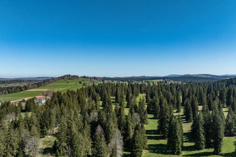 Grosses, diskretes, hochwertiges Landhaus im jurassischen Naturparadies (12)