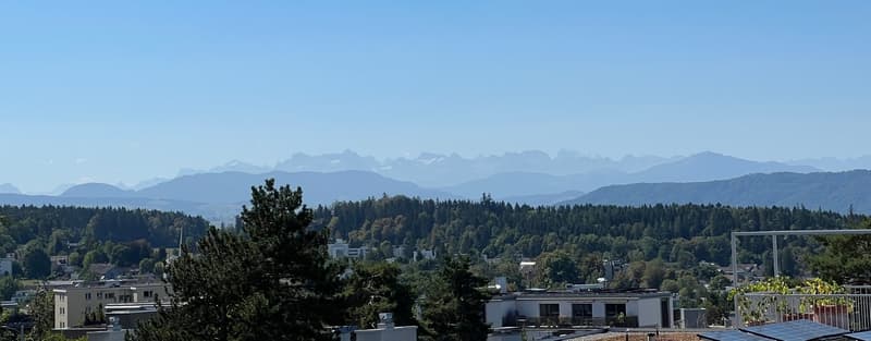 Attikawohnung mit traumhafter Fernsicht und einer Terrasse von ca. 155m2 (1)
