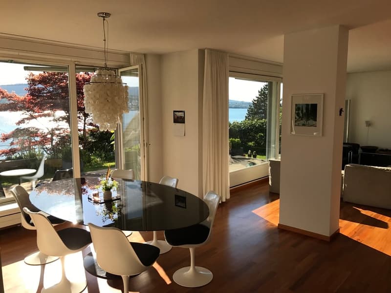Spacious living in Zollikon with a view of Lake Zurich (7)