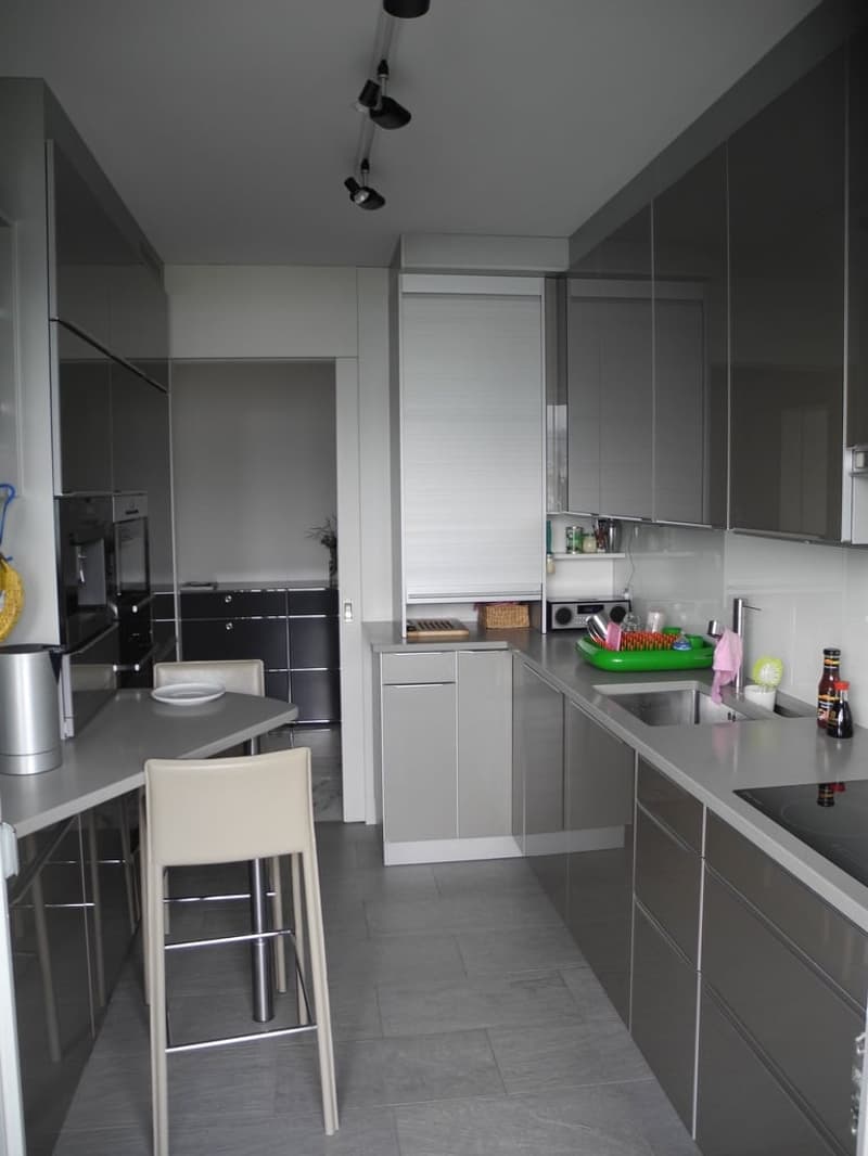 Spacious living in Zollikon with a view of Lake Zurich (9)