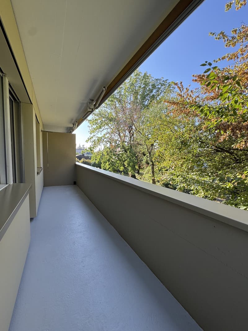 Gemütliche 3.5-Zimmer-Wohnung in Wallisellen (9)