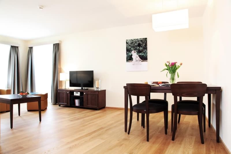 3-Room Family Apartment furnished in Zurich Seefeld (4)
