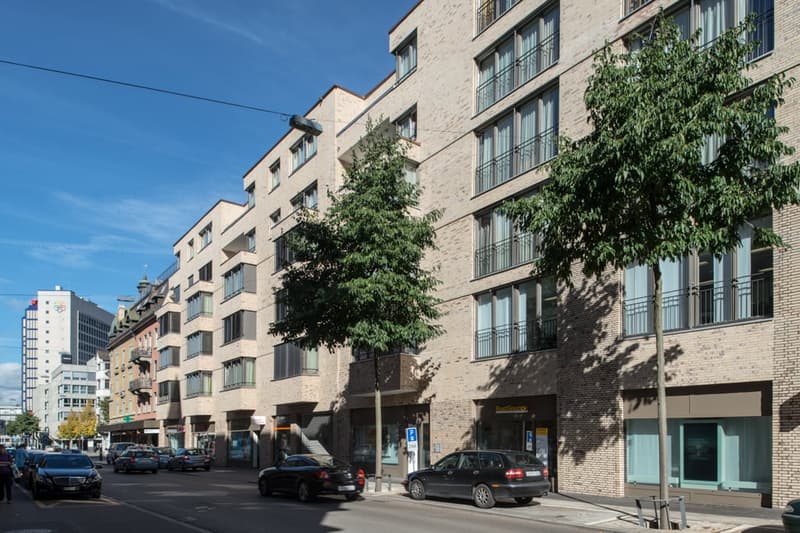 Studio Apartment möbliert und neu renoviert in Zürich Oerlikon (11)