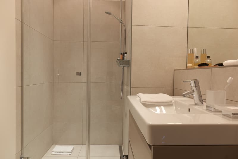 Modern bathroom with glass shower enclosure, sink, and mirror.