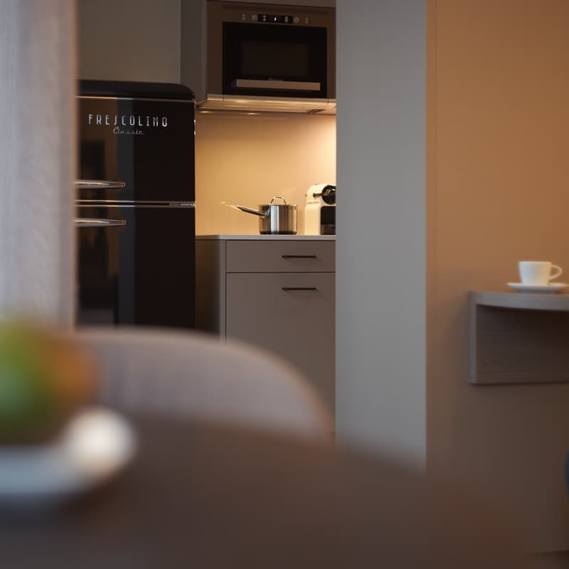 Studio Apartment möbliert und neu renoviert in Zürich Oerlikon (7)