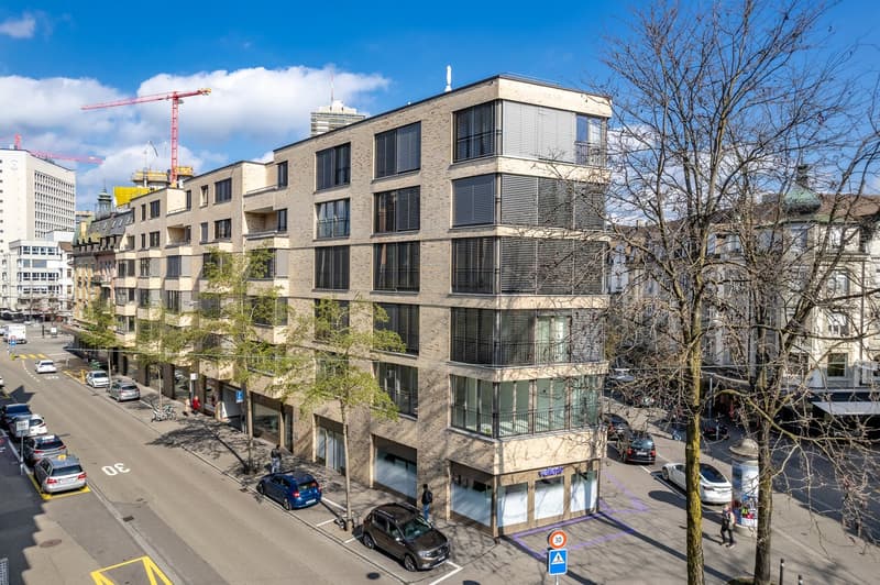 Studio Apartment möbliert und neu renoviert in Zürich Oerlikon (9)
