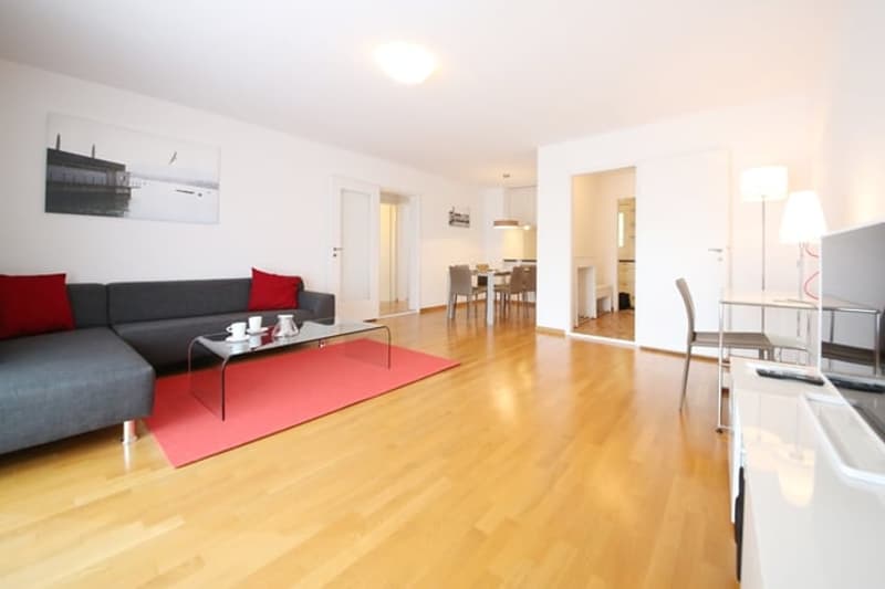 Furnished 2-bedroom Apartment / Möbliertes 1-Zimmer Apartment - amazing view over Zurich (1)