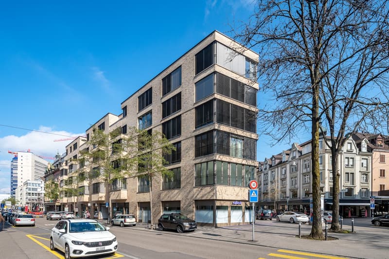 2-Zimmer Apartment möbliert und neu renoviert in Zürich Oerlikon (11)