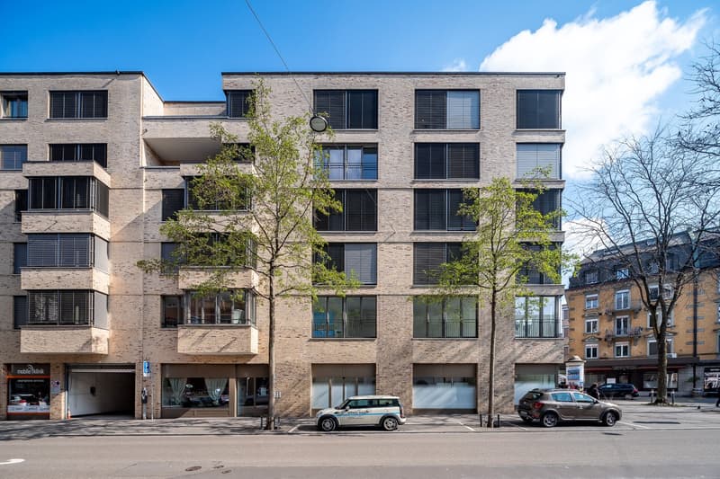 2-Zimmer Apartment möbliert und neu renoviert in Zürich Oerlikon (12)