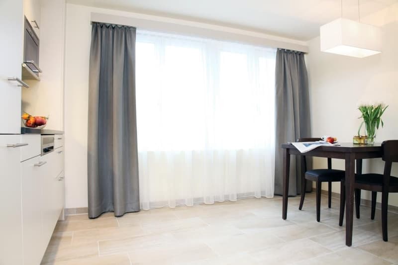 Appartement 2 pièces meublé à Zurich Seefeld - Lac de Zurich 5 minutes (7)