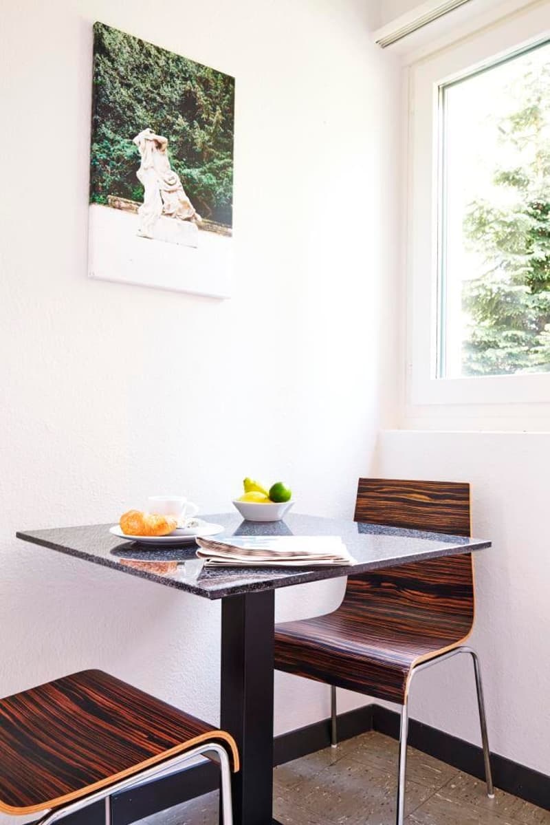 2-Zimmer Apartment möbiliert in Zürich - Hirslanden, Balgrist Nähe (4)