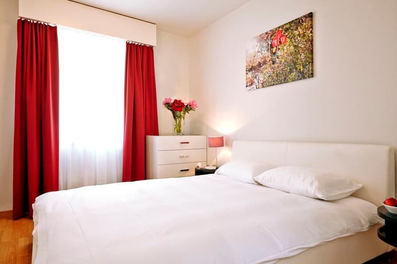 2-Zimmer Apartment möbiliert in Zürich - Hirslanden, Balgrist Nähe (1)
