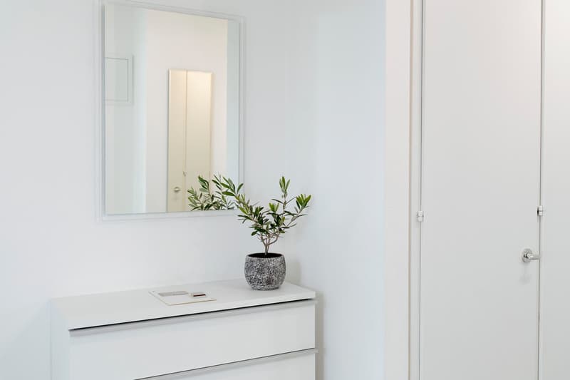 A minimalist hallway with a mirror, a white cabinet, a potted plant, and a white door.