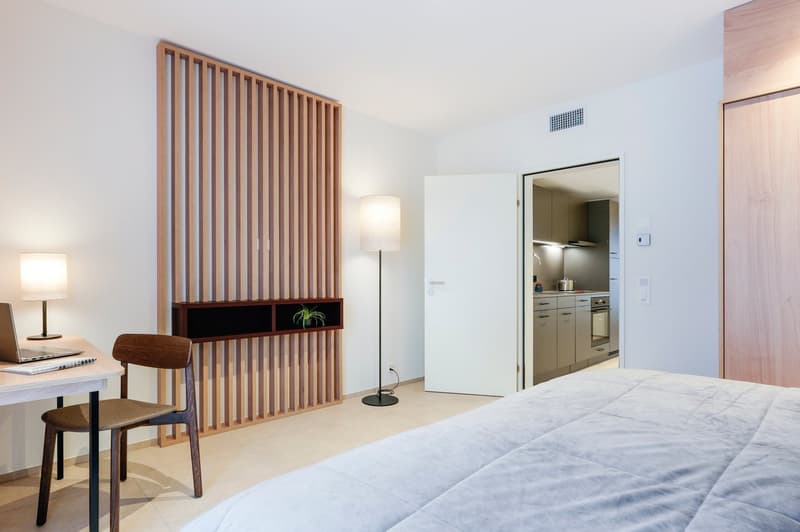 2-Zimmer Apartment möbliert in Zürich – Zentral in der Stadt wohnen – ab 01.04.2026 (6)