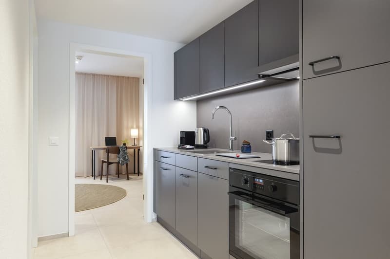 2-Zimmer Apartment möbliert in Zürich – Zentral in der Stadt wohnen – ab 01.04.2026 (4)