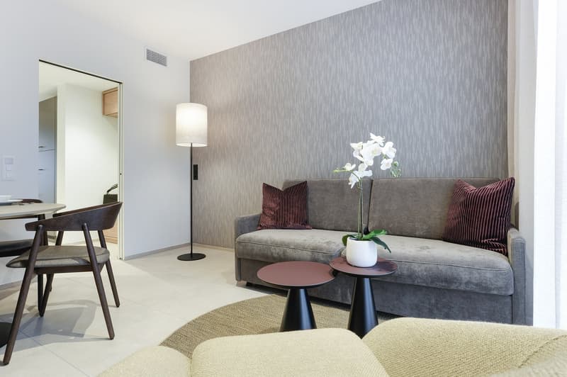 2-Zimmer Apartment möbliert in Zürich – Zentral in der Stadt wohnen – ab 01.04.2026 (8)