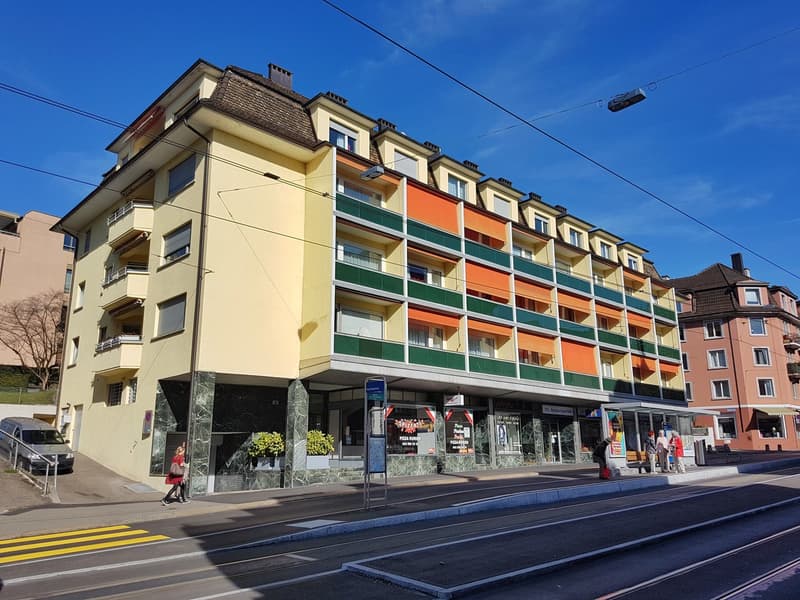 3-Zimmer Family Apartment mit Balkon möbiliert in Zürich - Nähe Bargrist/Hirsladen (9)
