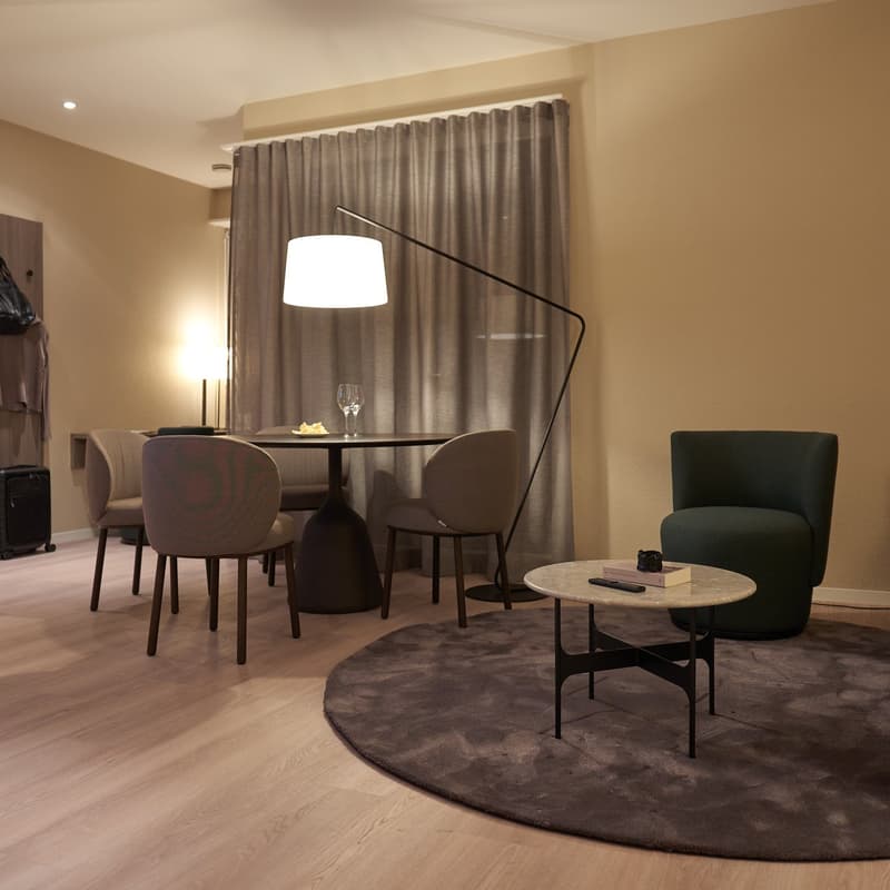 2-Zimmer Apartment möbliert und neu renoviert in Zürich Oerlikon (5)