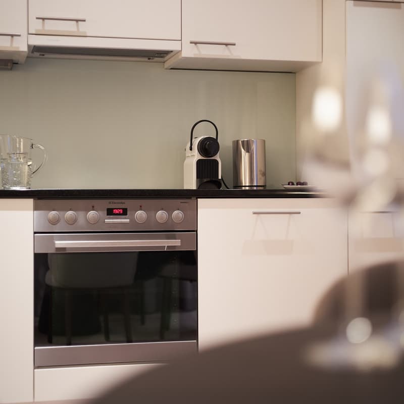 2-Zimmer Apartment möbliert und neu renoviert in Zürich Oerlikon (6)