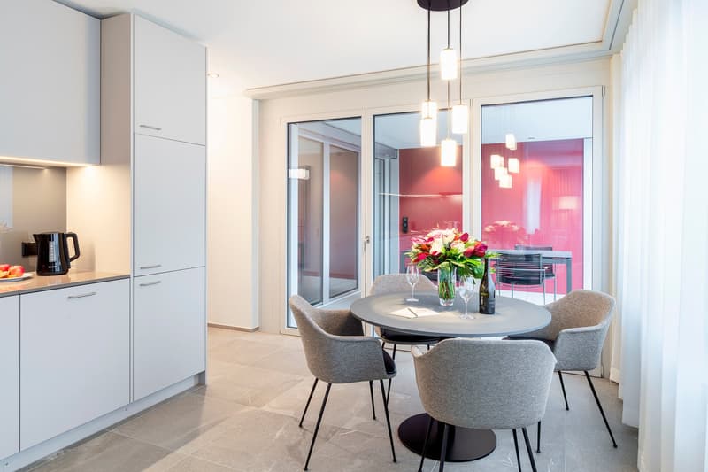 2-Zimmer Apartment Suite möbiliert in Cham (Zug), Papieri-Areal (3)