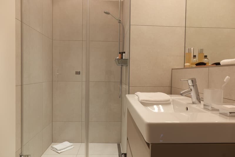 Studio Apartment möbliert und neu renoviert in Zürich Oerlikon (2)