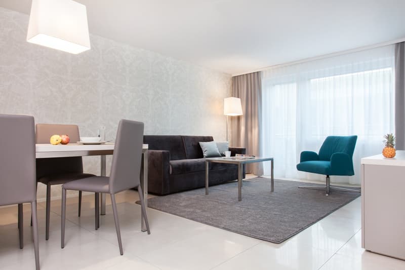 Furnished 1-bedroom Apartment in Zurich / Möbliertes 2-Zimmer Apartment in Zürich - Lindenstrasse (1)